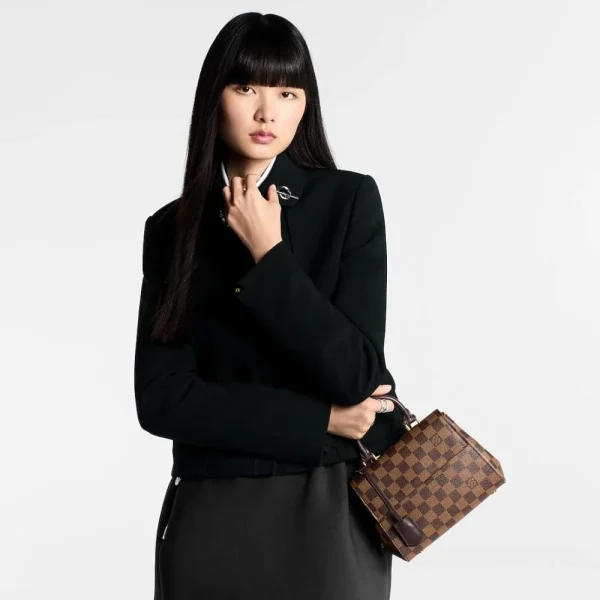 10004-53-b8f39d8ef44f.webp Louis Vuitton Cluny Mini N00097, Designer Handbags, Womens Purse, luxury bags