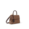 10005-50-f37cbad60821.webp Louis Vuitton Cluny Mini N00097, Designer Handbags, Womens Purse, luxury bags