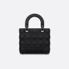 Small Lady Dior My ABCDior Bag
