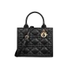 1701452517_M1325OWHP_M900_E01_GHC.webp Small Dior Book Tote