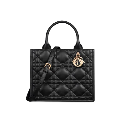 1701452517_M1325OWHP_M900_E01_GHC.webp Small Dior Book Tote