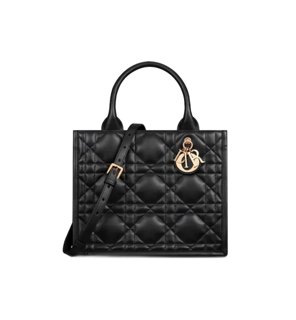 1701452517_M1325OWHP_M900_E01_GHC.webp Small Dior Book Tote