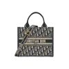 Small Dior Book Tote