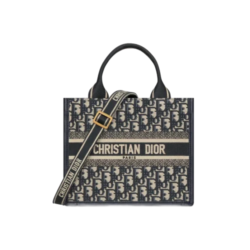 1701452520_M1325CZBB_M928_E01_GHC.webp Small Dior Book Tote