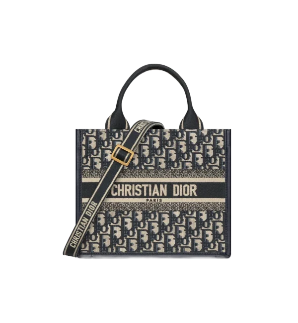 Small Dior Book Tote