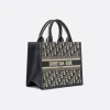 Small Dior Book Tote