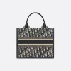 Small Dior Book Tote