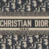 Small Dior Book Tote