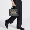 Small Dior Book Tote