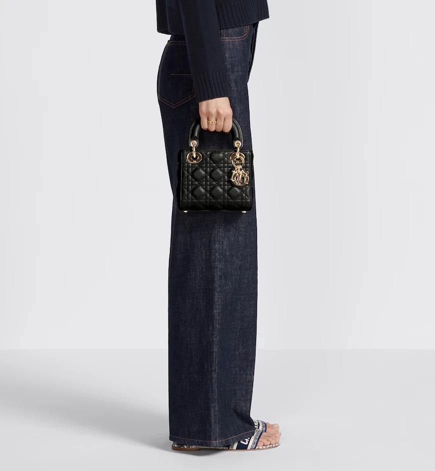 Mini Lady Dior Bag - view 5
