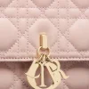 My Dior Top Handle Bag