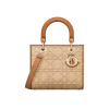 1709559917_M0565OMBD_M925_E01_GHC.webp Medium Lady Dior Bag