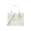 1709714717_M1325OWHP_M030_E01_GHC-1.webp Small Dior Book Tote
