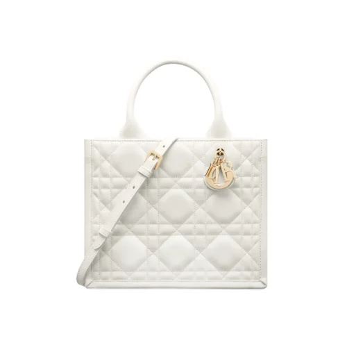 1709714717_M1325OWHP_M030_E01_GHC-1.webp Small Dior Book Tote
