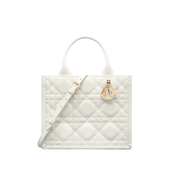1709714717_M1325OWHP_M030_E01_GHC-1.webp Small Dior Book Tote