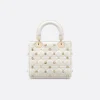 Small Lady Dior My ABCDior Bag