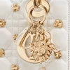 Small Lady Dior My ABCDior Bag