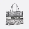 1712143332_M1296ZEGI_M933_E03_GHC-c7ed17f276e2.webp Medium Dior Book Tote