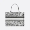1712143332_M1296ZEGI_M933_E08_GHC.webp Medium Dior Book Tote