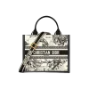 1717433880_M1325CETW_M06E_E01_GHC.webp Small Dior Book Tote