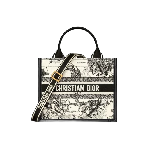 1717433880_M1325CETW_M06E_E01_GHC.webp Small Dior Book Tote