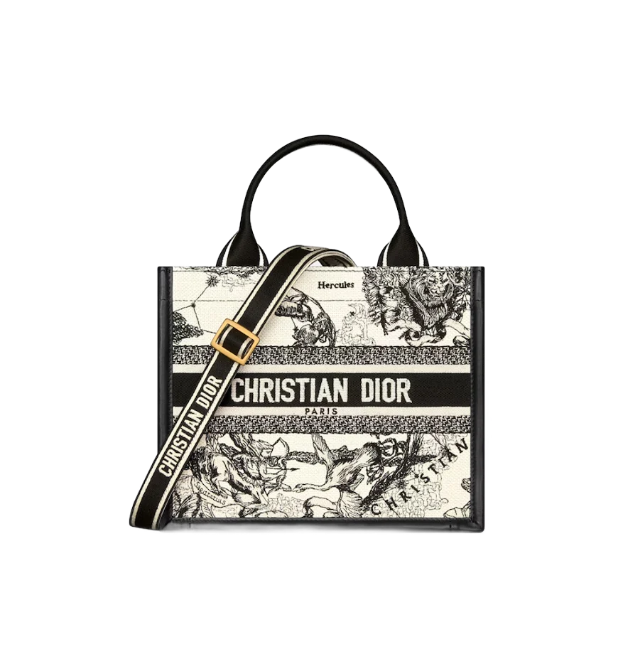 Small Dior Book Tote - view 1