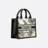 1717433881_M1325CETW_M06E_E03_GHC-3967032358c3.webp Small Dior Book Tote