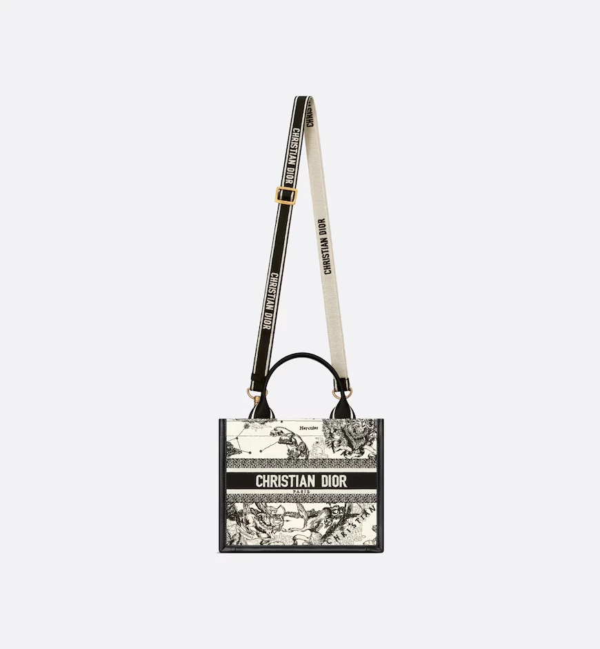 Small Dior Book Tote - view 5