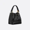 Small Dior Jolie Bucket Bag
