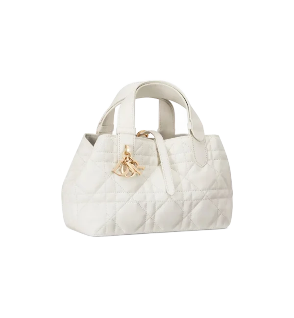 Small Dior Toujours Bag