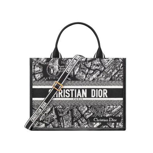 1719913518_M1324CETJ_M46I_E01_GHC.webp Medium Dior Book Tote