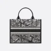 1719913518_M1324CETJ_M46I_E08_GHC-b83e3e2739a1.webp Medium Dior Book Tote