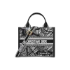 1719913518_M1325CETJ_M46I_E01_GHC.webp Small Dior Book Tote