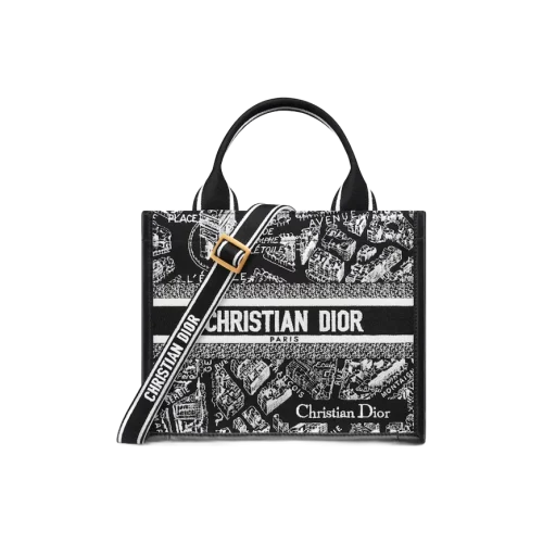 1719913518_M1325CETJ_M46I_E01_GHC.webp Small Dior Book Tote