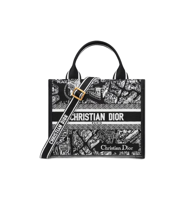 1719913518_M1325CETJ_M46I_E01_GHC.webp Small Dior Book Tote