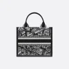 1719913518_M1325CETJ_M46I_E08_GHC-e1f6e172c865.webp Small Dior Book Tote