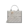 1719913518_M1325CZBB_M20I_E01_GHC.webp Small Dior Book Tote