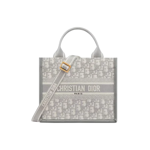 1719913518_M1325CZBB_M20I_E01_GHC.webp Small Dior Book Tote