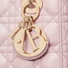 Small Lady Dior My ABCDior Bag