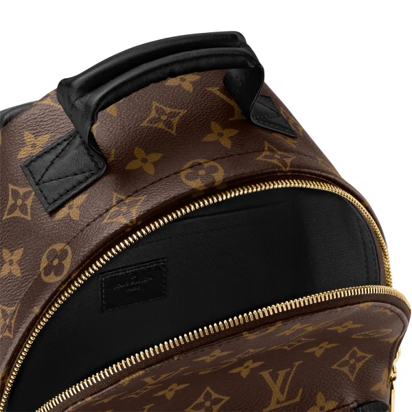 1F06453A-0677-0C96-5A0D-D640EBFBAF87-de17b0434c70.webp Louis Vuitton Palm Springs Backpack MM Monogram Canvas 28cm/11in M44874, Designer Handbags, Womens Purse, luxury bags