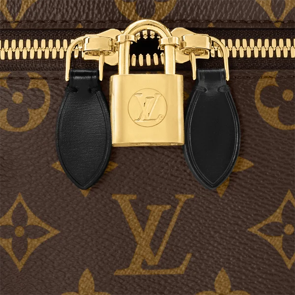 22EBFD9F-09C9-3D6D-C7F2-5C25C00ABAE1-b5dcb1ff43ef.webp Louis Vuitton Vanity Chain Pouch Other Monogram Canvas 17cm Women Handbags M47125, Designer Handbags, Womens Purse, luxury bags