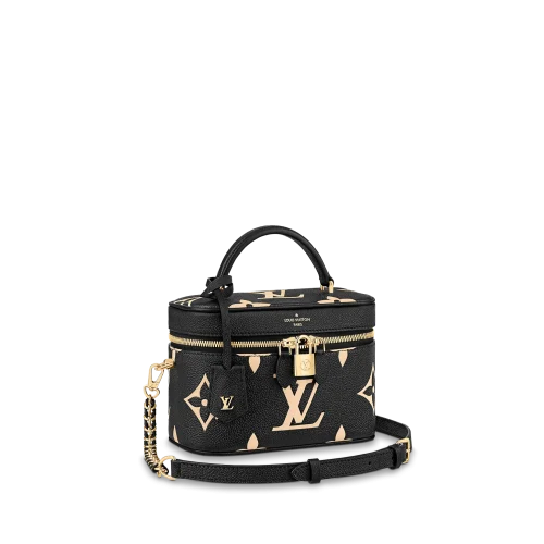24-1-557db13ce331.webp Louis Vuitton Vanity Pm 39Cm, Designer Handbags, Womens Purse, luxury bags
