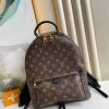 3bb4e7df85b3b6015d49d40ea7d73d7d-64253bb5d1f7.webp Louis Vuitton Palm Springs Backpack MM Monogram Canvas 28cm/11in M44874, Designer Handbags, Womens Purse, luxury bags
