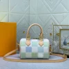 Louis Vuitton Speedy Bandoulire Damier Canvas Pistachio 20Cm N40515, Designer Handbags, Womens Purse, luxury bags