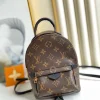 4f829d82678cf2bddbd607b399528a62-b303bcf72d37.webp Louis Vuitton Palm Springs Backpack Mini Monogram Canvas 17cm/6.7in, Designer Handbags, Womens Purse, luxury bags
