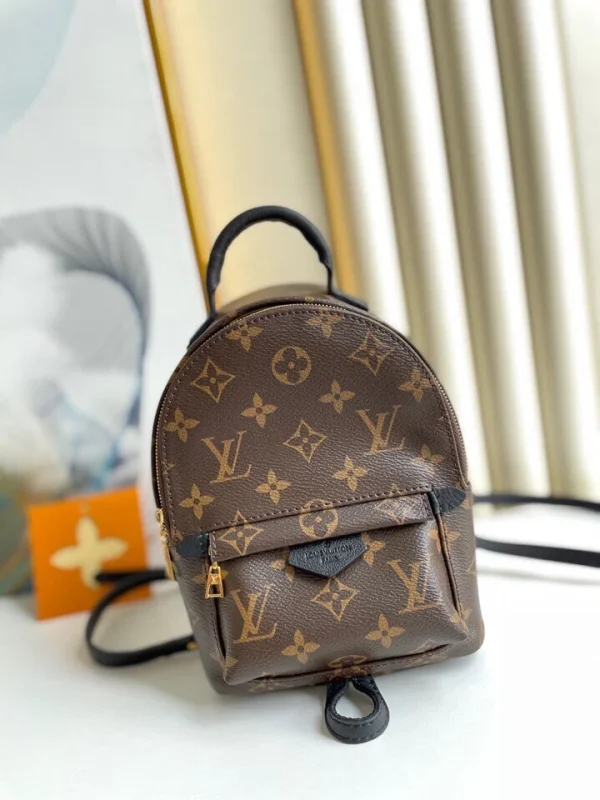 4f829d82678cf2bddbd607b399528a62-b303bcf72d37.webp Louis Vuitton Palm Springs Backpack Mini Monogram Canvas 17cm/6.7in, Designer Handbags, Womens Purse, luxury bags