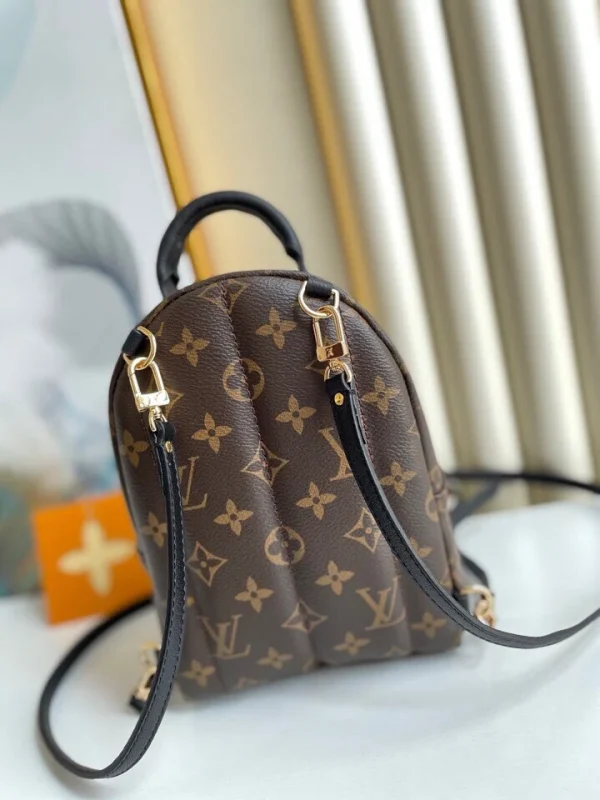 52623aa901b32adcf802cf64eb554c16-e62328f952a9.webp Louis Vuitton Palm Springs Backpack Mini Monogram Canvas 17cm/6.7in, Designer Handbags, Womens Purse, luxury bags