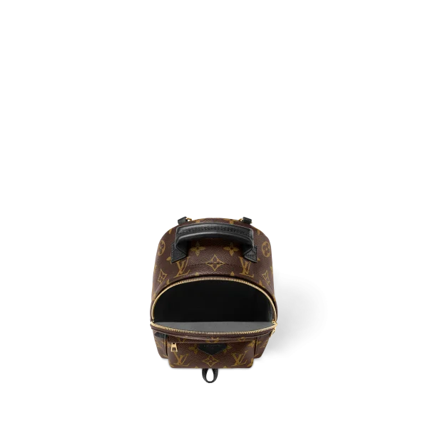 5F081A7B-2D97-0562-3F1E-8B4B8C663542-ca44fa3ef1bb.webp Louis Vuitton Palm Springs Backpack Mini Monogram Canvas 17cm/6.7in, Designer Handbags, Womens Purse, luxury bags
