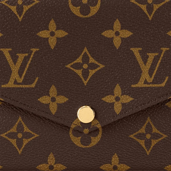 65CCC42F-AF61-CF17-9F8F-016E3BA3AAF4-1-dd1d484173b7.webp Louis Vuitton Flicie Pochette Lv Monogram Chain Bag Monogram 61276 21cm/8.3in, Designer Handbags, Womens Purse, luxury bags