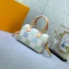 Louis Vuitton Speedy Bandoulire Damier Canvas Pistachio 20Cm N40515, Designer Handbags, Womens Purse, luxury bags